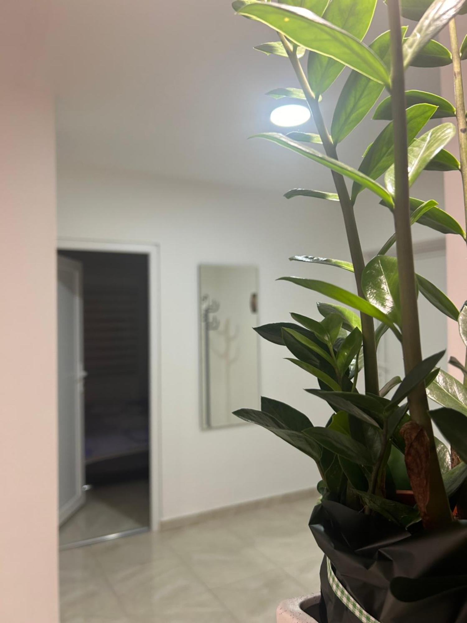 Apartman Diamond Lux Surčin Dış mekan fotoğraf