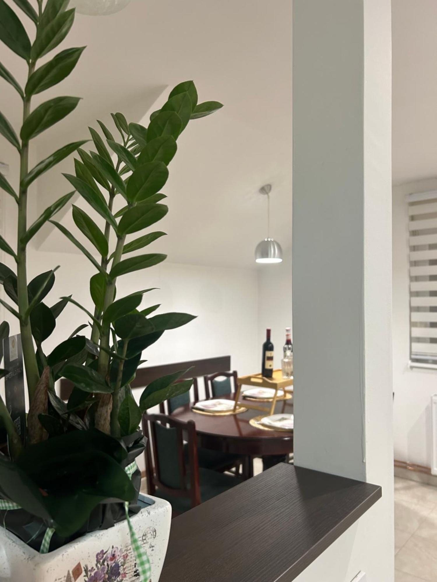 Apartman Diamond Lux Surčin Dış mekan fotoğraf