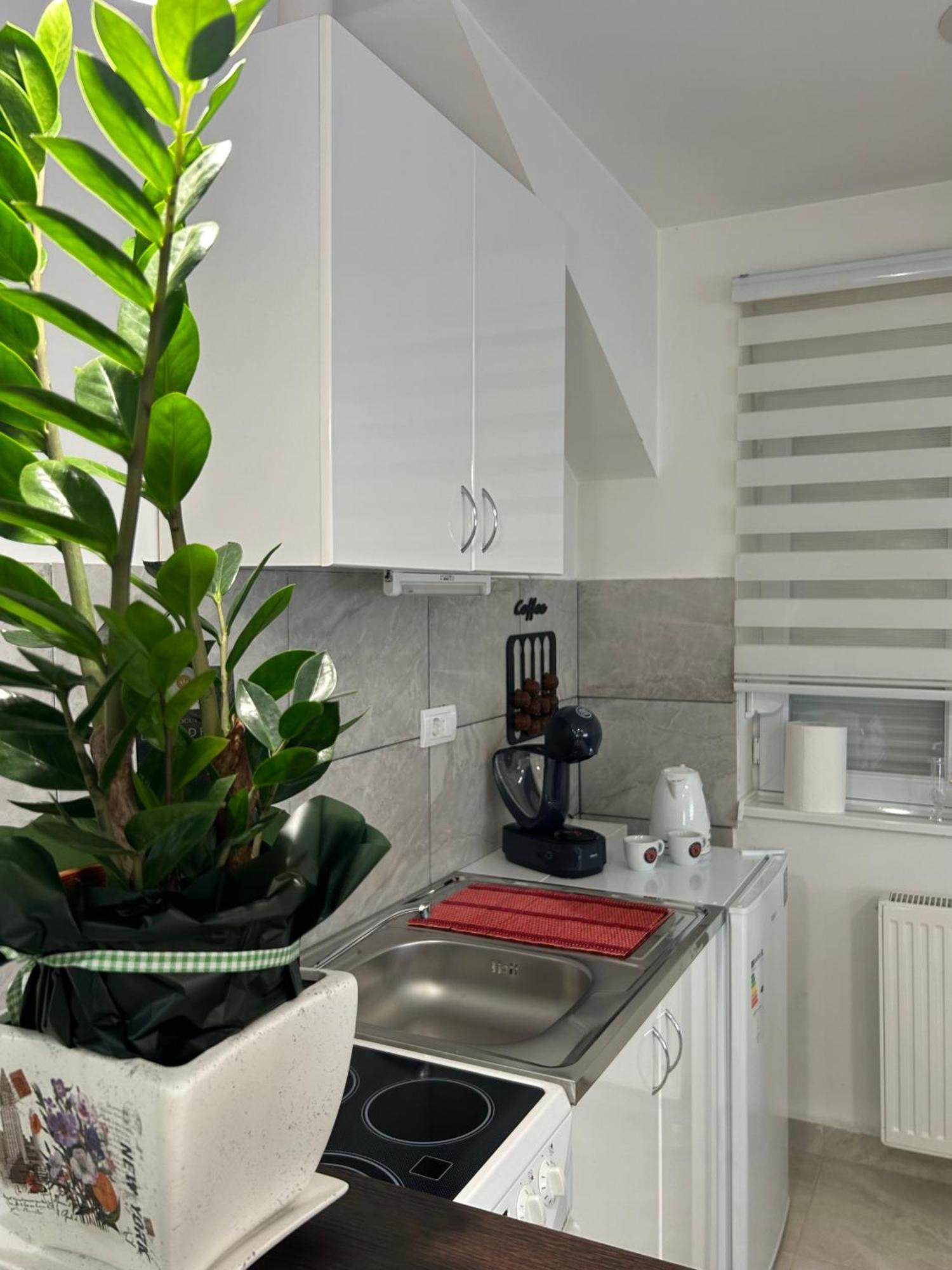 Apartman Diamond Lux Surčin Dış mekan fotoğraf